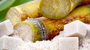 Invest in sugar